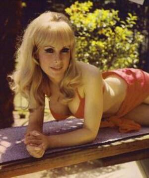 Barbara Eden Nude Porn Gif Files - 42 Barbara Eden ideas | barbara eden, i dream of jeannie, dream of jeannie