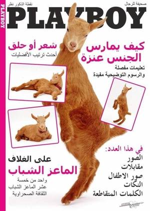 Arab Porn Magazines - Arabian porn magazine