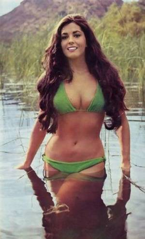 Edy Williams Porn Star Classic - edy williams hot - Google Search