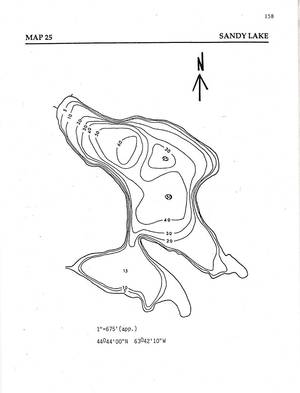 Matureography - Matureography porn - Maps forests and surface waters of sandy lake environs  bedford jpg 1221x1600