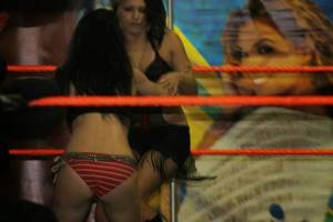 Aj Lee Alicia Fox Porn - AJ Lee & Paige