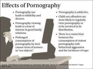 Effects Of - The U.S. Conference of Catholic Bishops tackled the topic of pornography  during it's fall session in