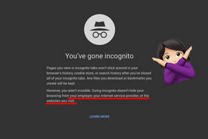 Https Porn Sites - The Hidden Risks Of Watching Porn Online