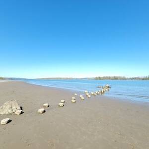 naked beach line up - SAUVIE ISLAND NUDE BEACH - Updated March 2024 - 76 Photos & 38 Reviews -  Portland, Oregon - Beaches - Yelp