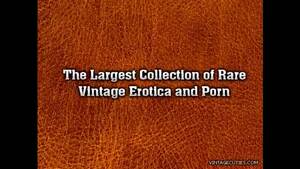 Hamsters Porn Movies - X hamster porn movies porn videos & sex movies - XXXi.PORN