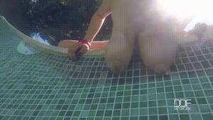 big boobs pool - Big Boobs In Pool Porn Gif | Pornhub.com