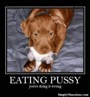 funny eating pussy - Eating Pussy Humor