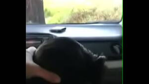 Asian Girlfriend Blowjob Car - Hot Asian gf give blowjob in car - XVIDEOS.COM