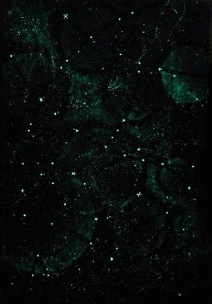 Light Green Crocodile Porn - Though my soul may set in darkness, it will rise in perfect light. I have  loved the stars to fondly to be fearful of the night (green, stars,  aesthetic)