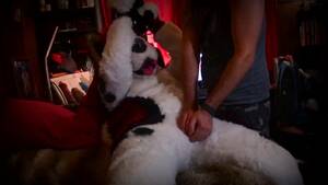 Husky Gay Porn - Tied up Husky CBT - Pornhub.com