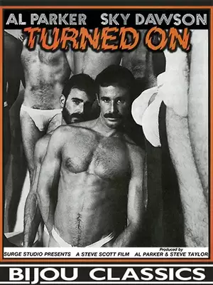 1990s Gay Porn Art - Turned On! - PinkLabel.TV
