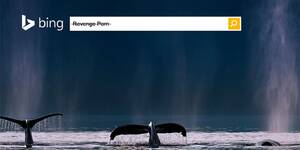 Bing Revenge Porn - Microsoft Bing erases revenge porn on user request | Fortune