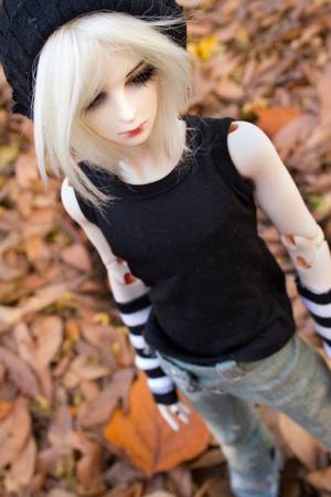 Bjd Male Doll Porn - BJD 100 themes Fallen Leaves i took New Alex out for a short shoot today.