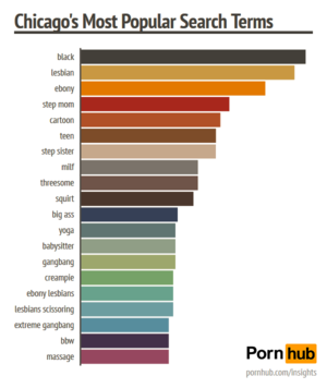 Chicago Porn Industry - Pornhub & Chicago - Pornhub Insights