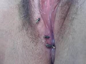 drinking pussy juice - flies drink pussy juice | xHamster