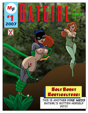 Batgirl Lesbian Porn Comics - Batgirl Interrupted- Justice League - Porn Cartoon Comics