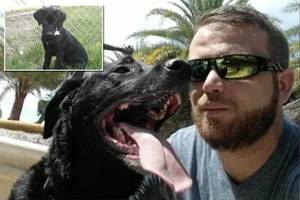 naturist beach erections and girls - DogsDevastating warning after day at beach ends with dog's slow and painful  death