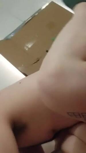 Kitten Porn Dominance - Porn Dominant playing with his kitten Video