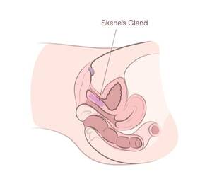 g spot squirt - How To Find Your G Spot Easily & Quickly