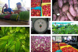 Gurren Log Porn Youku - Farm to table Paasmenu 2015 - Fort Nassau