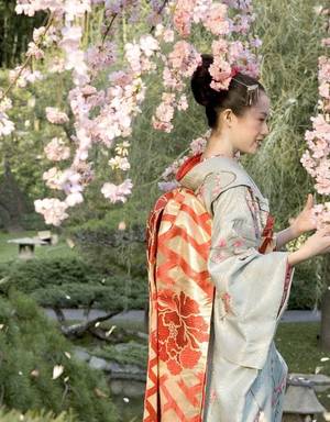 japanese geisha movie - Memoirs of a Geisha (2005)