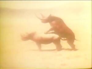 Marina Lotar Bestiality Porn - Marina Lotar Osceno - Beast sex videos - Bestialitytaboo