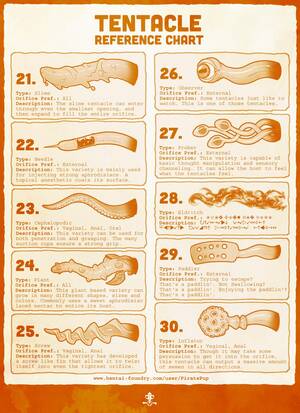 Different Types Of Tentacle Porn - Tentacle Reference Chart 1, 2, 3 & 4 by PiratePup : r/Tentai