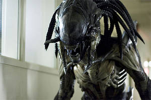 Alien Vs Predator Requiem Porn - The Predalien-From Aliens vs Predator: Requiem
