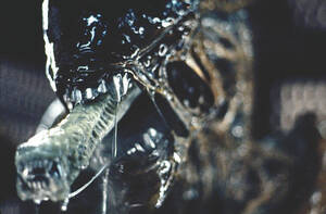 Ellen Ripley Facehugger Porn - How To Develop Theme: The Perversion of Sex in â€œAlienâ€ - Plot and Theme