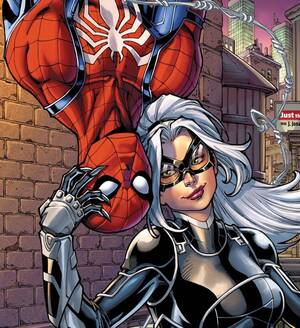 Black Cat Spider Man Porn Solo - If she ever gets introduced in the MCU would you like to see Felicia as the  main love interest? : r/marvelstudios