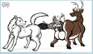 Furry Anal Vore Porn - Statistics