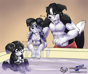 Furry Cub Porn - Statistics