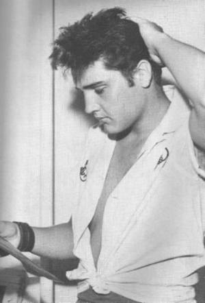 Elvis Presley Nude Porn - Elvis Presley