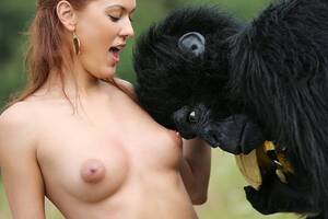 Apes Fucking Girls - Apes Fucking Girls - Bobs and Vagene