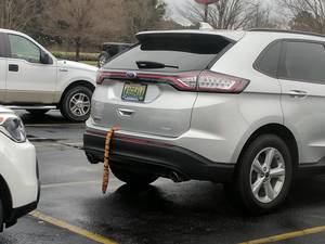 Cars Furry Porn - furryâ˜ ï¸irl ...