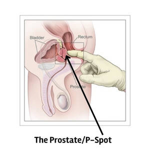 Male Anal Masturbation - Your Guide to Anal Masturbation for Men | Bedbible.com