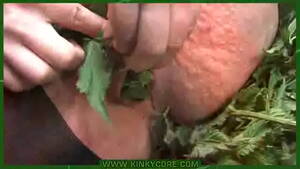 nettle bdsm whipping - nettle bdsm - XVIDEOS.COM
