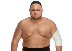 Joe Asst Old Nude Porn - Samoa Joe: Profile, Career Stats, Face/Heel Turns, Titles Won & Gimmicks |  Pro Wrestlers Database