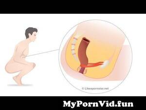 Gay Anal Diagram - Learn How To Bottom With EYE-POPPING Illustrations from gay small cock anal  creampie Watch Video - MyPornVid.fun