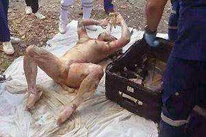 Dead Woman Pussy - Murdered Woman In Suitcase