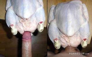 Chicken Fuck Porn - Fucking A Raw Chicken - Porned Up!