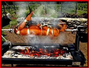 Dinner Cannibal Porn - Cannibalism Phone Sex Party