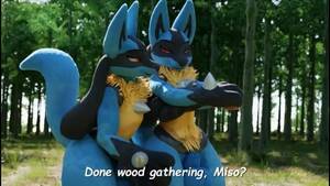 Female Lucario Furry Porn Solo - 3D Yiff by Kuroodod Furry Porn Sex E621 FYE Gay Femboy Lucario Brothers  Incest Pokemon r34 Rule34 Anal watch online or download