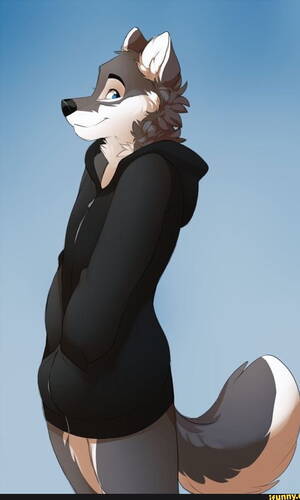 Gay Furry Porn Wallpaper - HD furry wallpapers | Peakpx