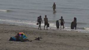 china nude beach sex - More police patrols needed at Wreck Beach says Metro Vancouver | Watch News  Videos Online