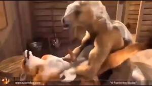 2 Gay Furry Porn - Gay Furry Porn Super Compilation - 2 Hours YIFF Animation, mofenges -  PeekVids