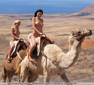 Egyptian Porn Star Riding Camel - naked-camel-ride-01