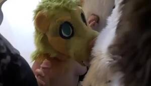 furry girl sucking cock - Slutty furry girl is ready to suck big dicks - ThisVid.com