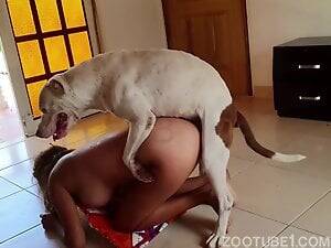 black pussy k9 - Ebony Animal XXX Videos / Top