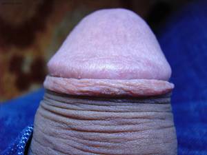 anal sex close up cock - close up head of flaccid penis